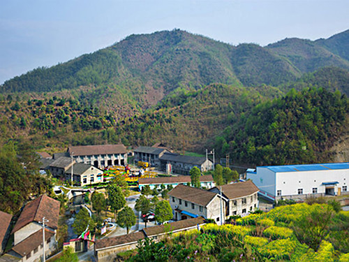 热烈祝贺博鱼买球赛_博鱼（中国）正式上线！